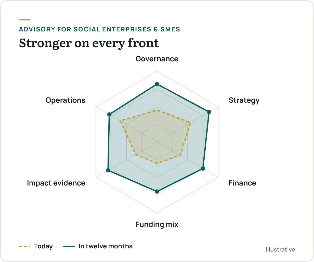 Radar chart comparing governance, strategy, finance, funding mix, impact evidence and operations today and in twelve months